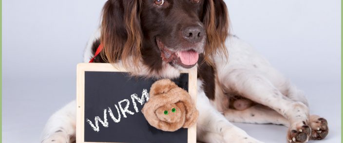Wurmprophylaxe